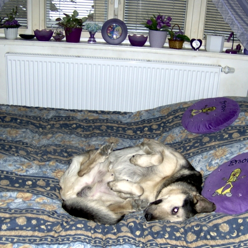 6_1204139725.jpg