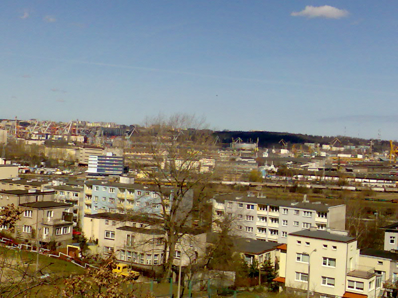 6_1204305163.jpg